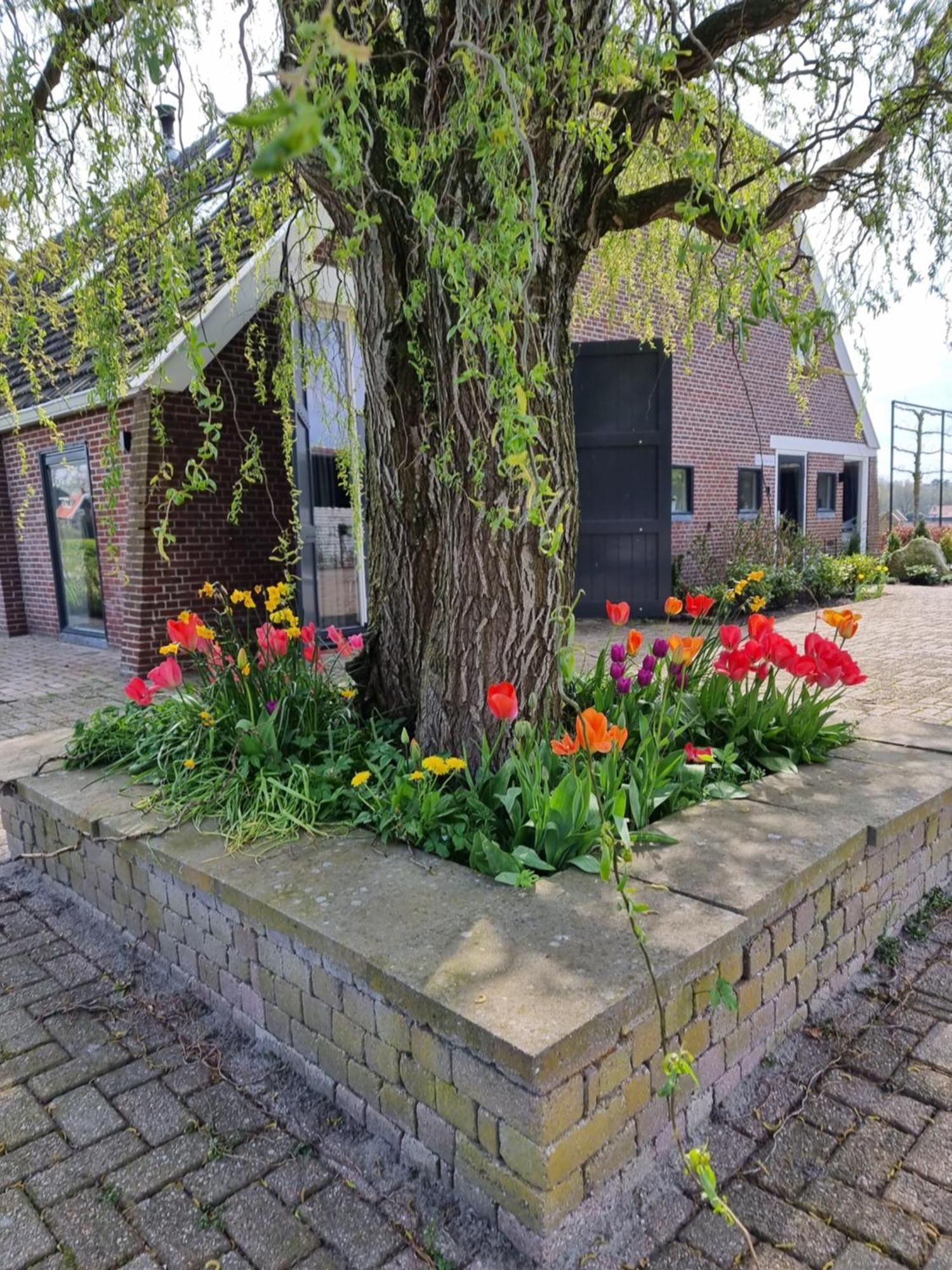 Bed and Breakfast De Schotse Hooglander Smilde Экстерьер фото